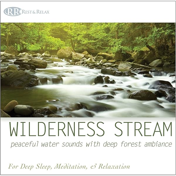 その他 Forest Relaxation [DVD] Amazon.com: Tropical Rain Forest: CDs & Vinyl